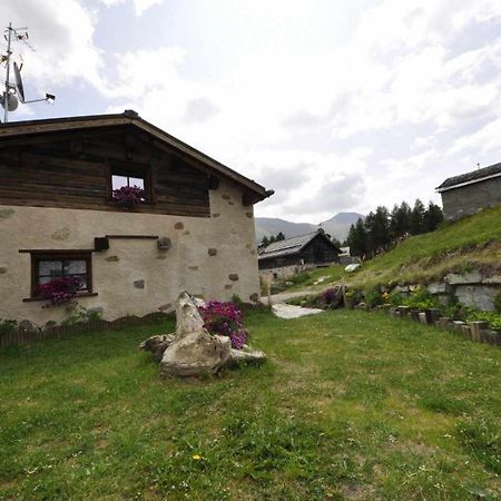 Mountain Chalet Scoiattolo By Livigno Accomodation Kültér fotó