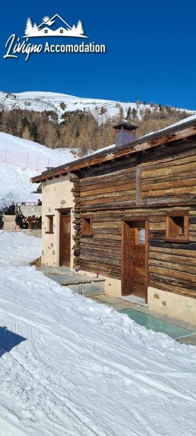 Mountain Chalet Scoiattolo By Livigno Accomodation Kültér fotó