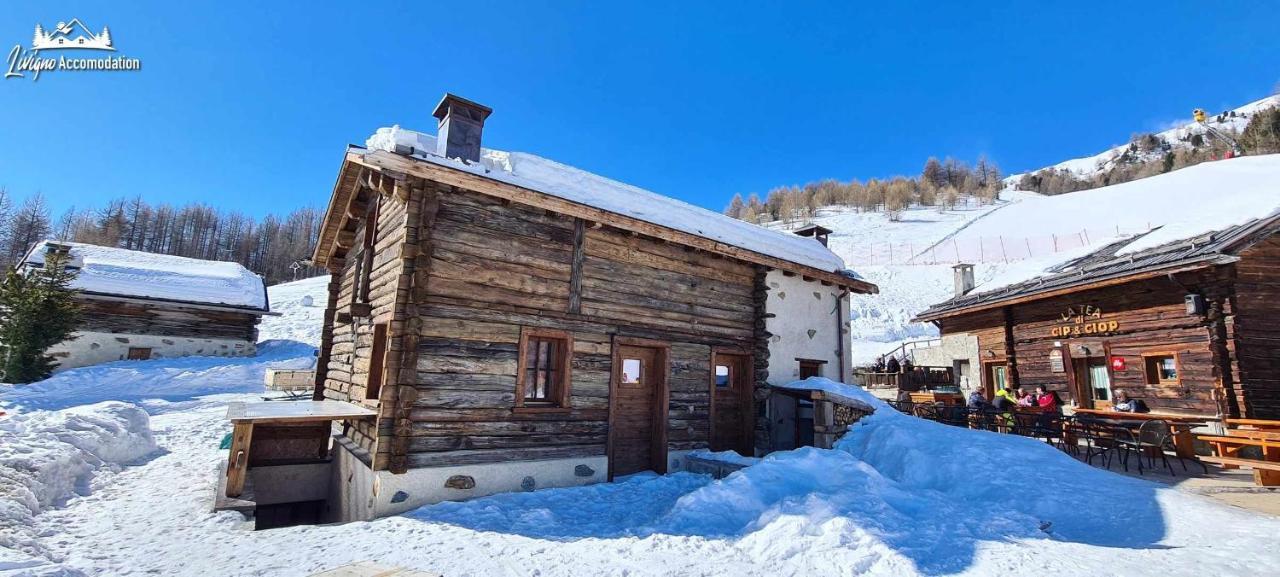 Mountain Chalet Scoiattolo By Livigno Accomodation Kültér fotó
