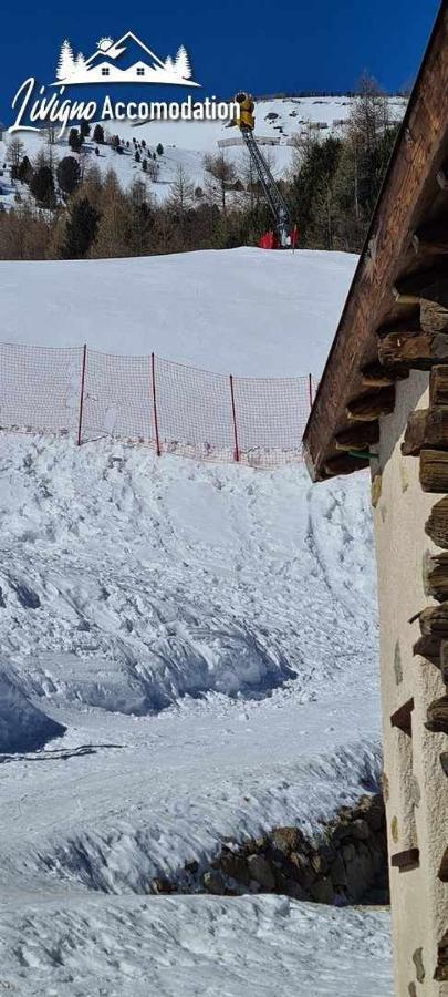 Mountain Chalet Scoiattolo By Livigno Accomodation Kültér fotó