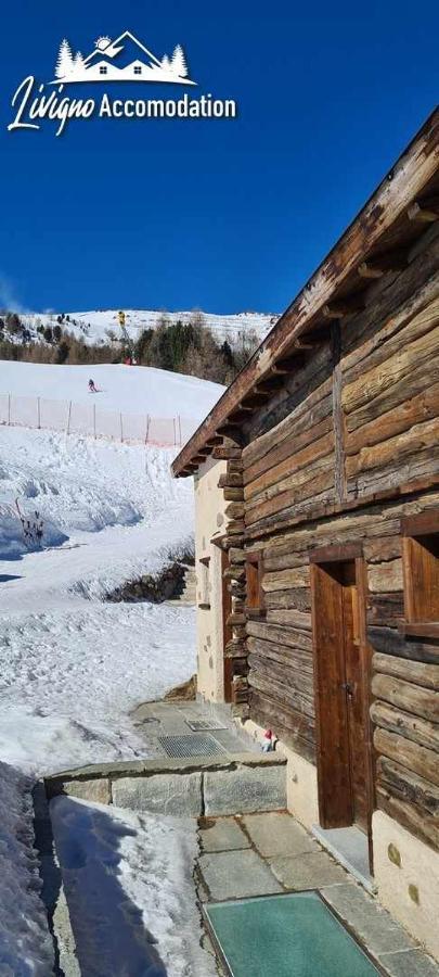 Mountain Chalet Scoiattolo By Livigno Accomodation Kültér fotó