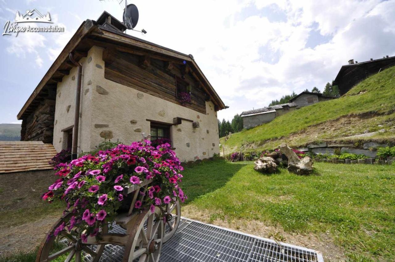 Mountain Chalet Scoiattolo By Livigno Accomodation Kültér fotó
