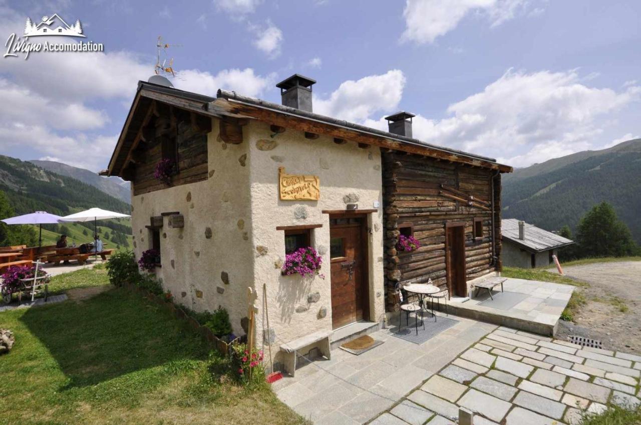Mountain Chalet Scoiattolo By Livigno Accomodation Kültér fotó