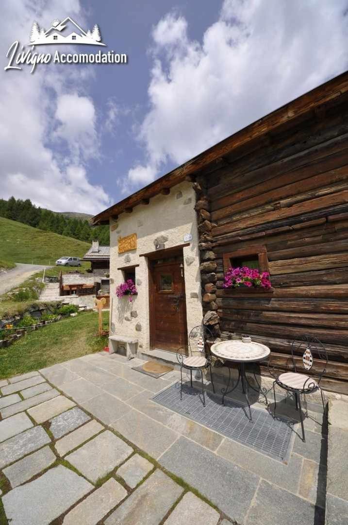 Mountain Chalet Scoiattolo By Livigno Accomodation Kültér fotó