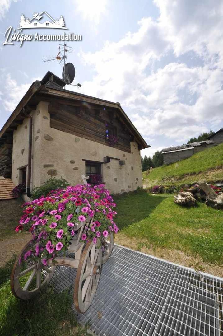 Mountain Chalet Scoiattolo By Livigno Accomodation Kültér fotó