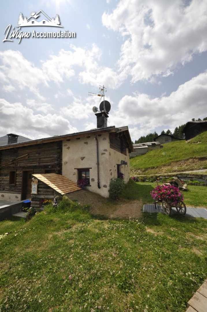Mountain Chalet Scoiattolo By Livigno Accomodation Kültér fotó