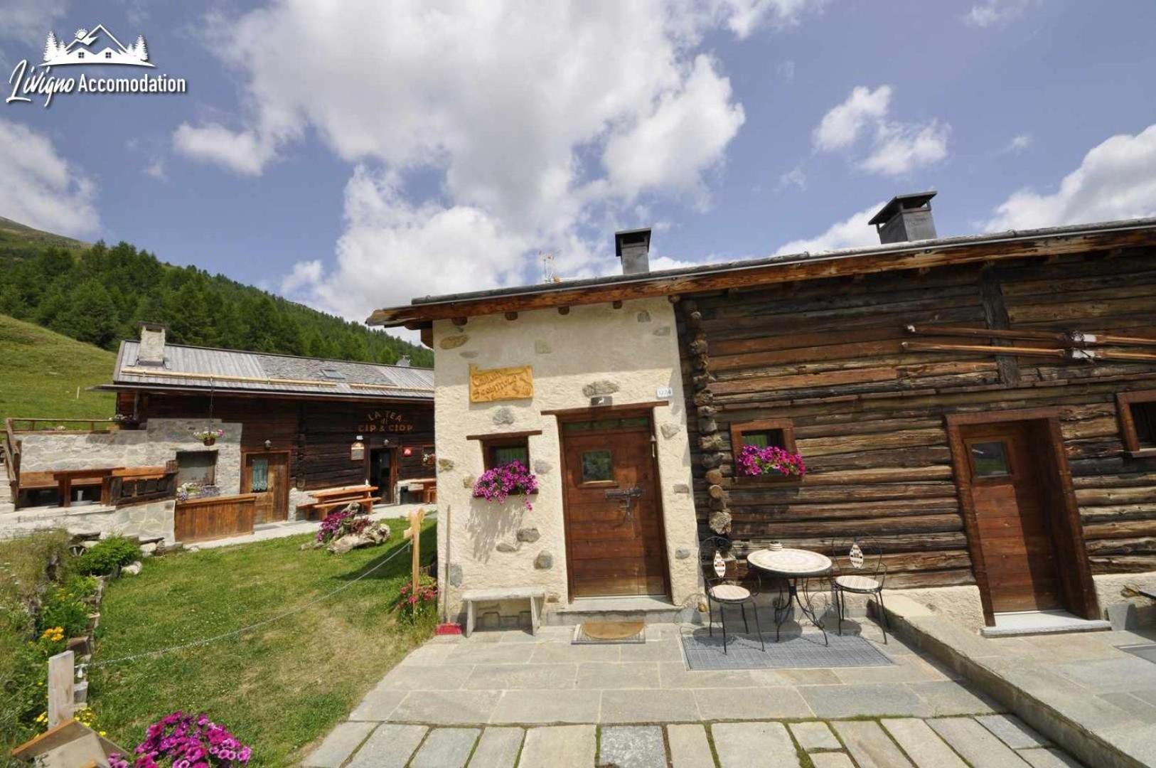 Mountain Chalet Scoiattolo By Livigno Accomodation Kültér fotó
