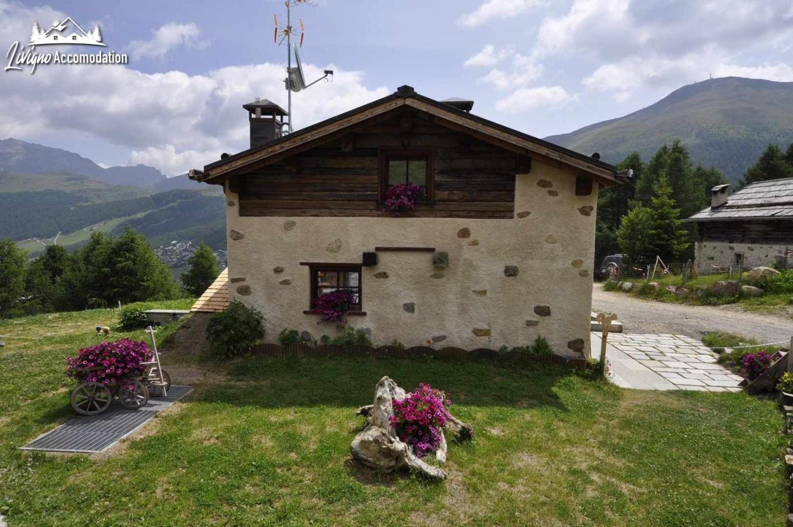 Mountain Chalet Scoiattolo By Livigno Accomodation Kültér fotó