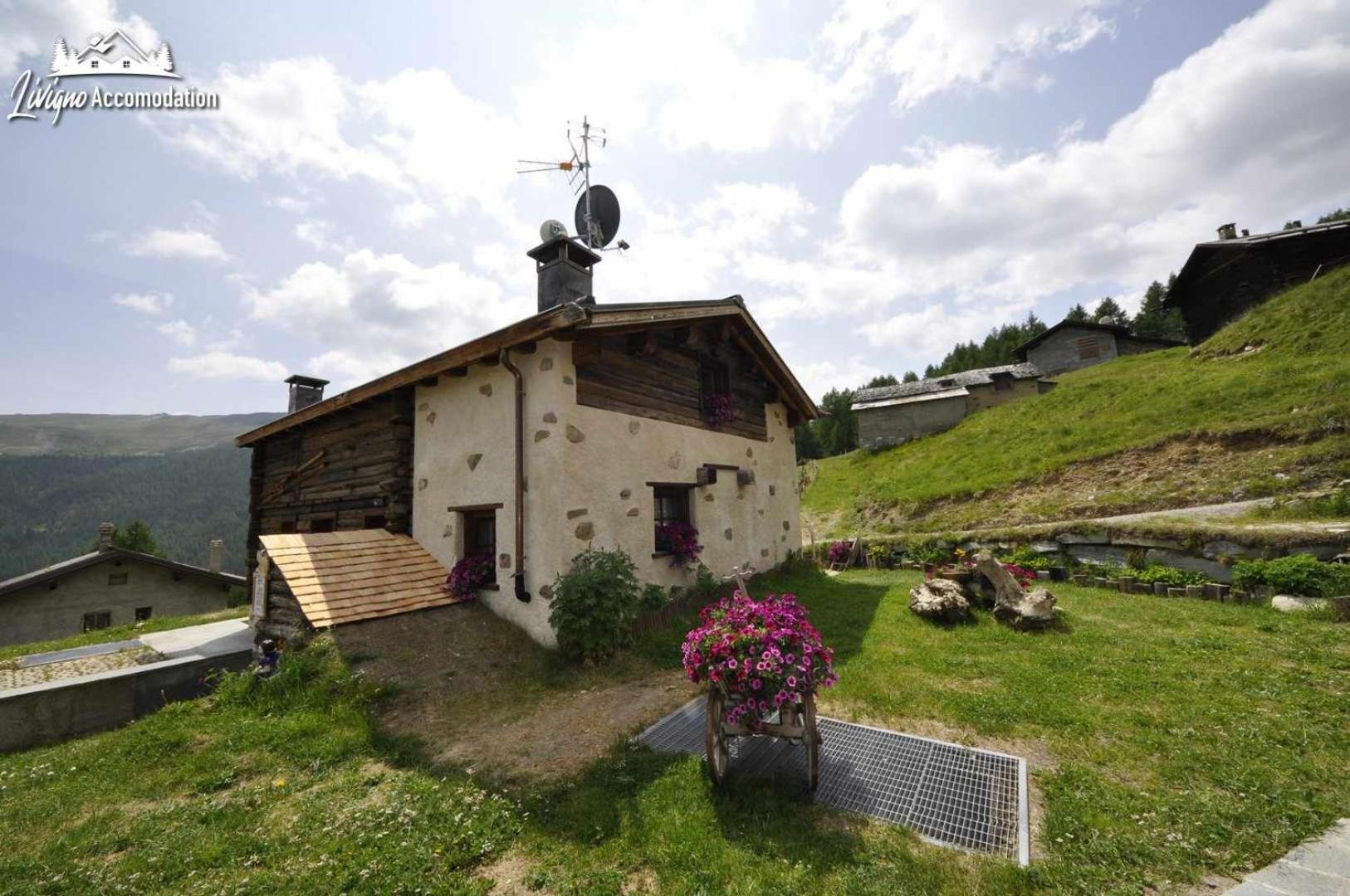 Mountain Chalet Scoiattolo By Livigno Accomodation Kültér fotó